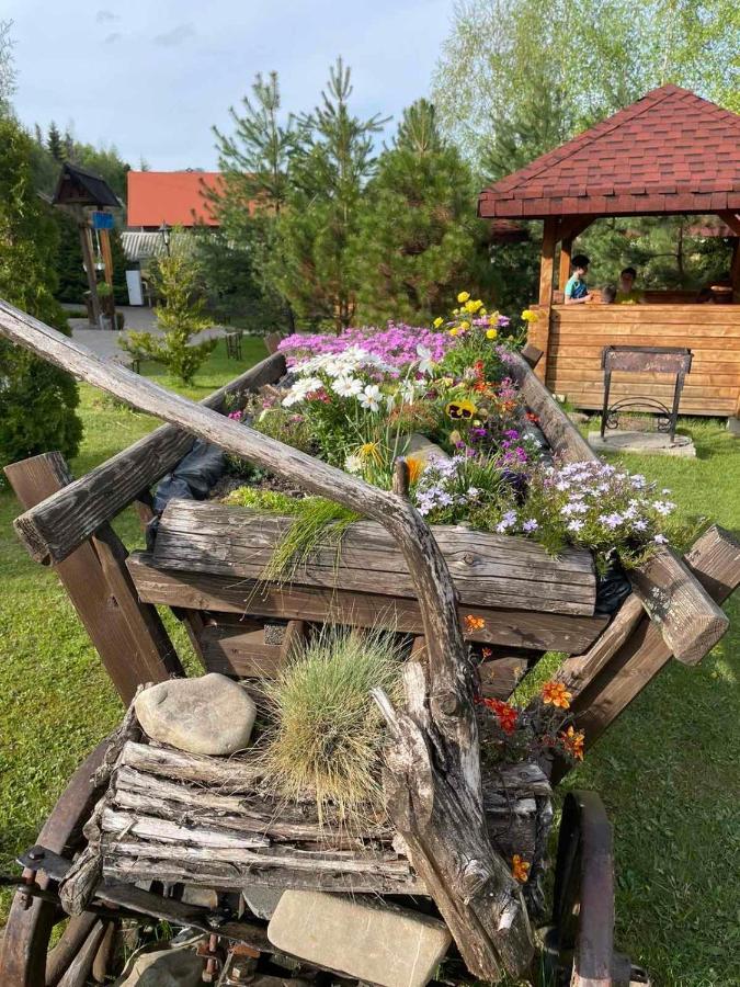 Slovyanka Hotel Slavske Eksteriør billede